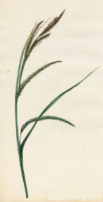 Решение рисунок 4