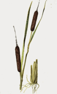 Решение рисунок 5