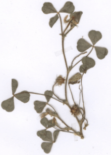 Решение рисунок 3