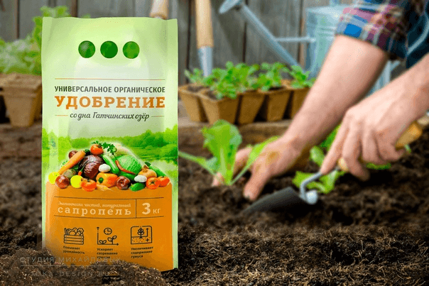 Решение рисунок 1